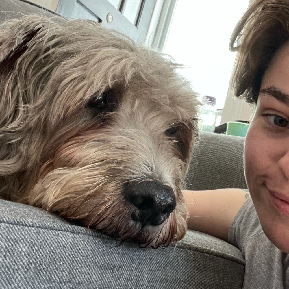 Meet your Posher, Alexis